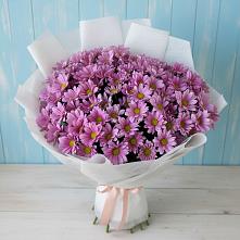 Букет цветов из:  Хризантемы в Акбулаке