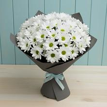 Букет белые хризантемы в Акбулаке Букет цветов из:  Хризантемы в Акбулаке